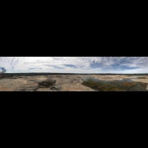 Meet your Posher, Samuel